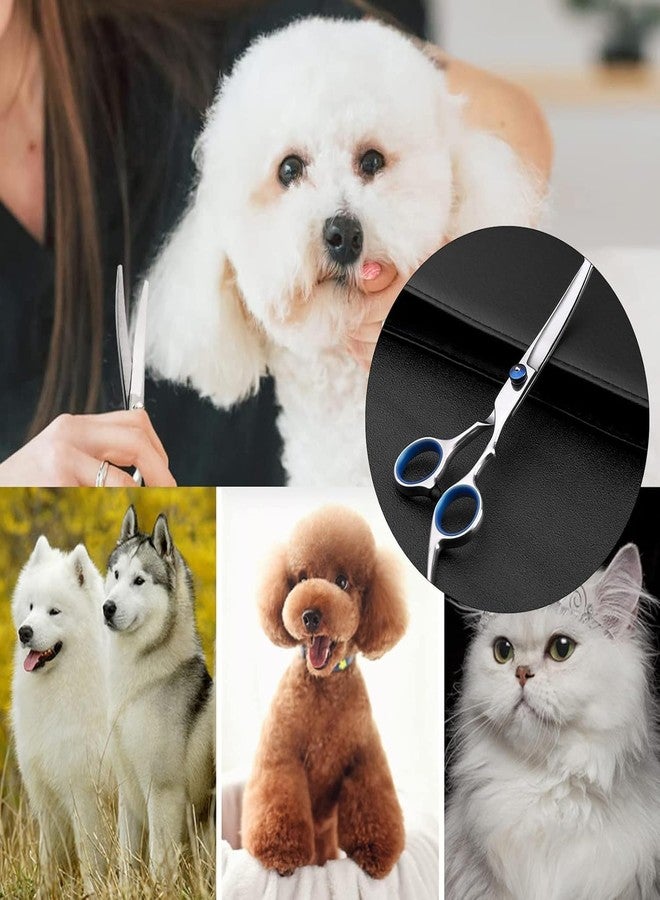 DreamAug “6.5”Curved Dog Grooming Scissors with Safety Round Tips – Professional Pet Hair Cutting Shears for Dogs & Cats, Stainless Steel Pet Grooming Tool for Home & Salon Use - Image 5